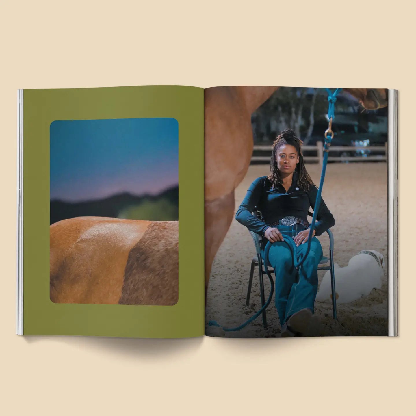 Calling All Horse Girls Magazine, Vol. 2: Working