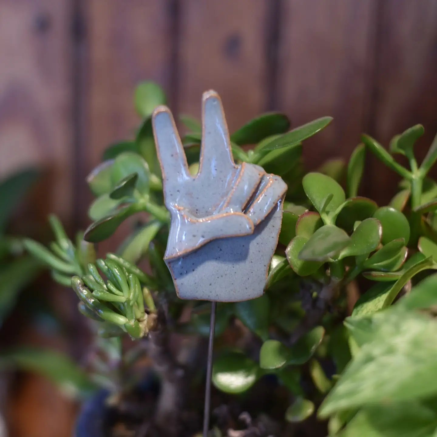 Plant Buddies - Peace Hands