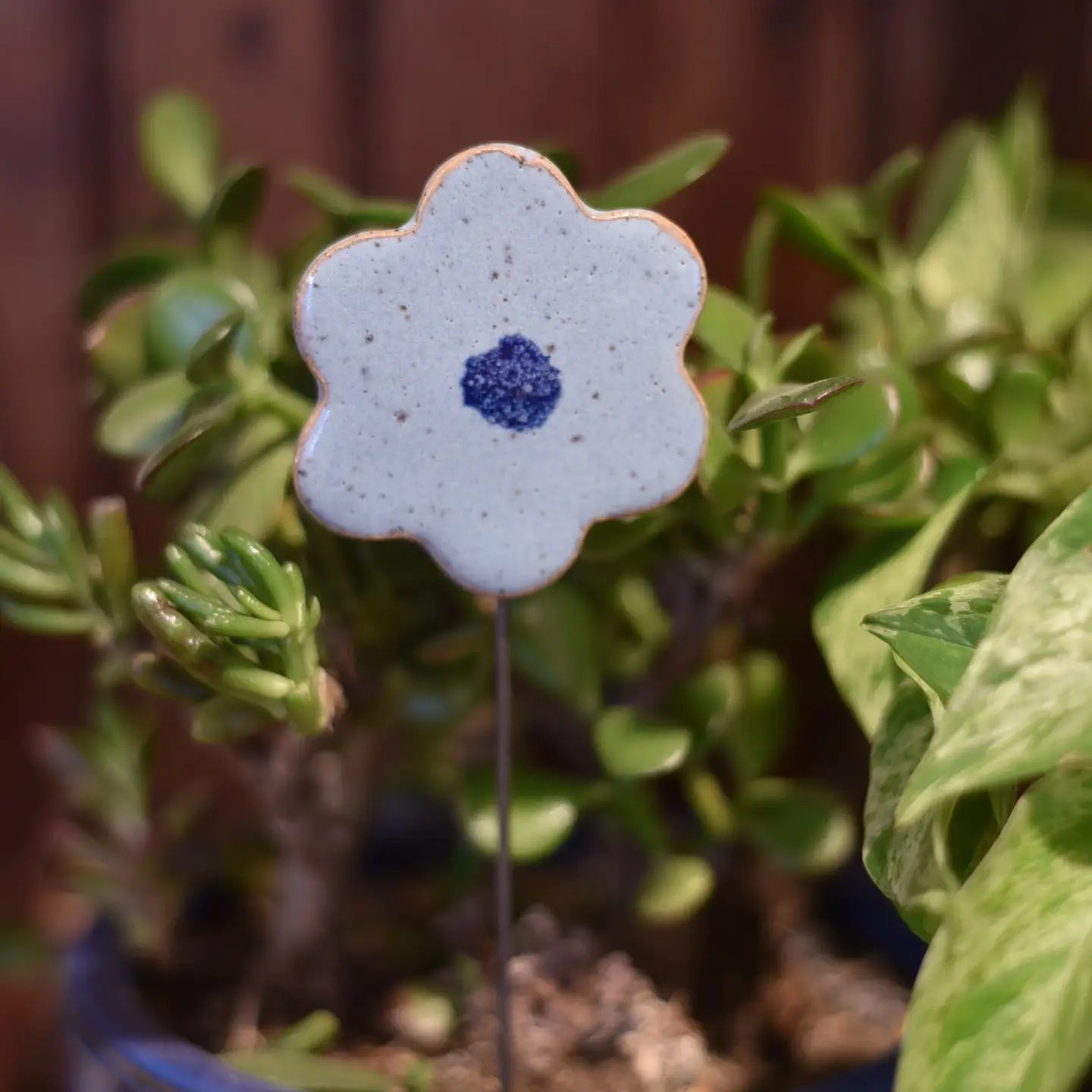 Plant Buddies - Flower