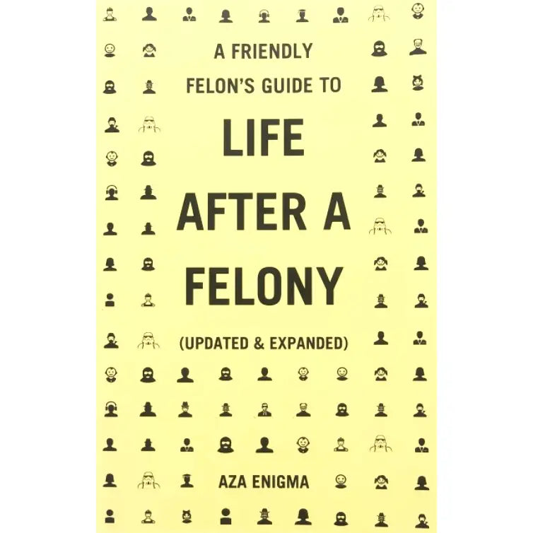 Friendly Felon's Guide To Life After A Felony (Zine)
