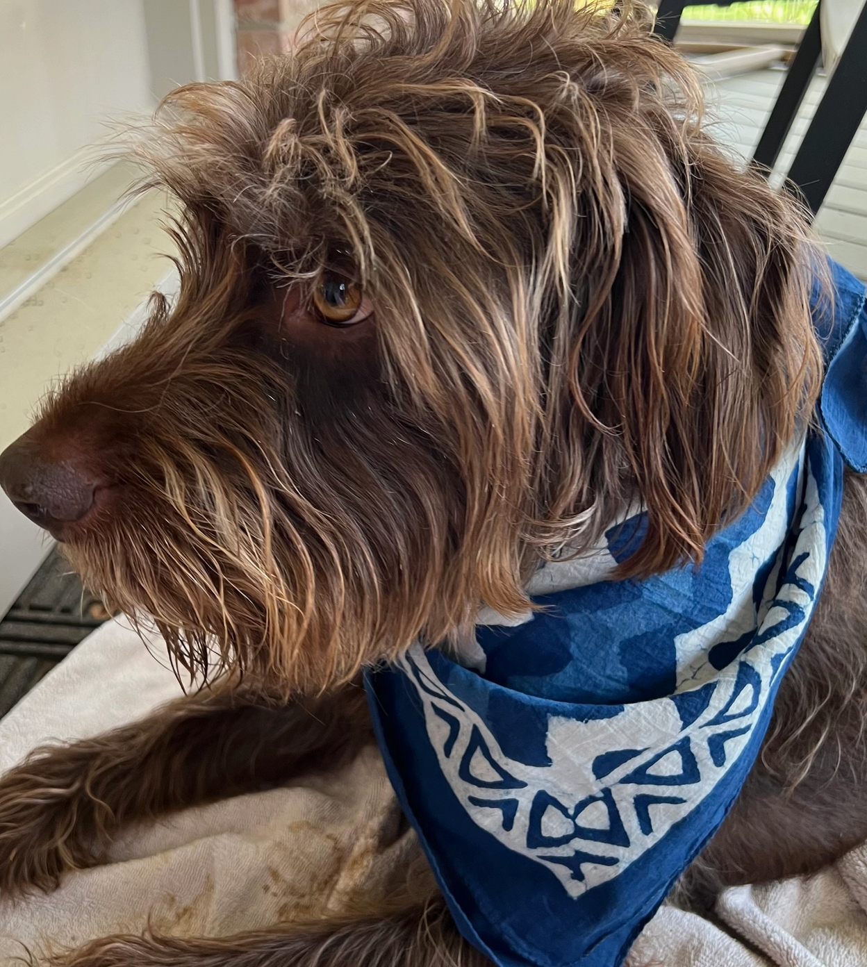 Bandana - Indigo Swim