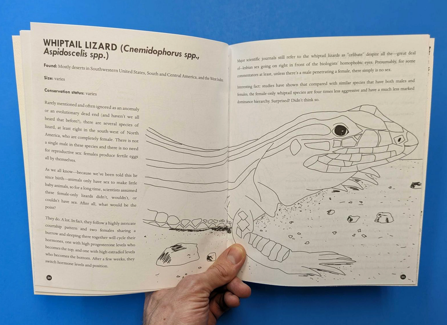 Queer Animals Coloring Book Zine