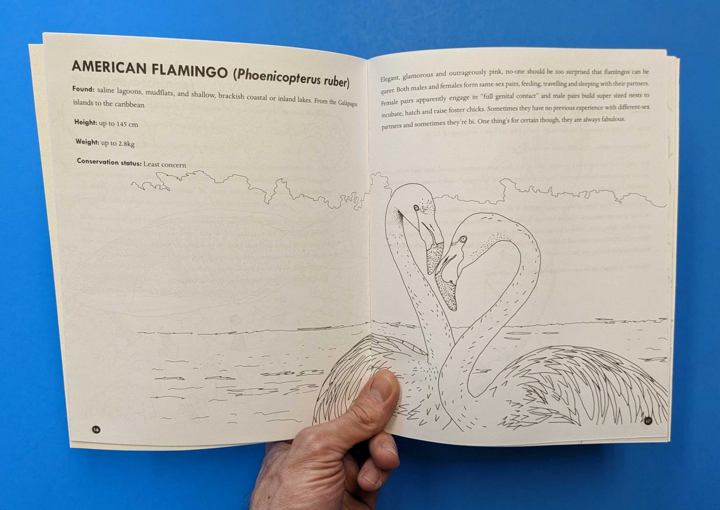 Queer Animals Coloring Book Zine