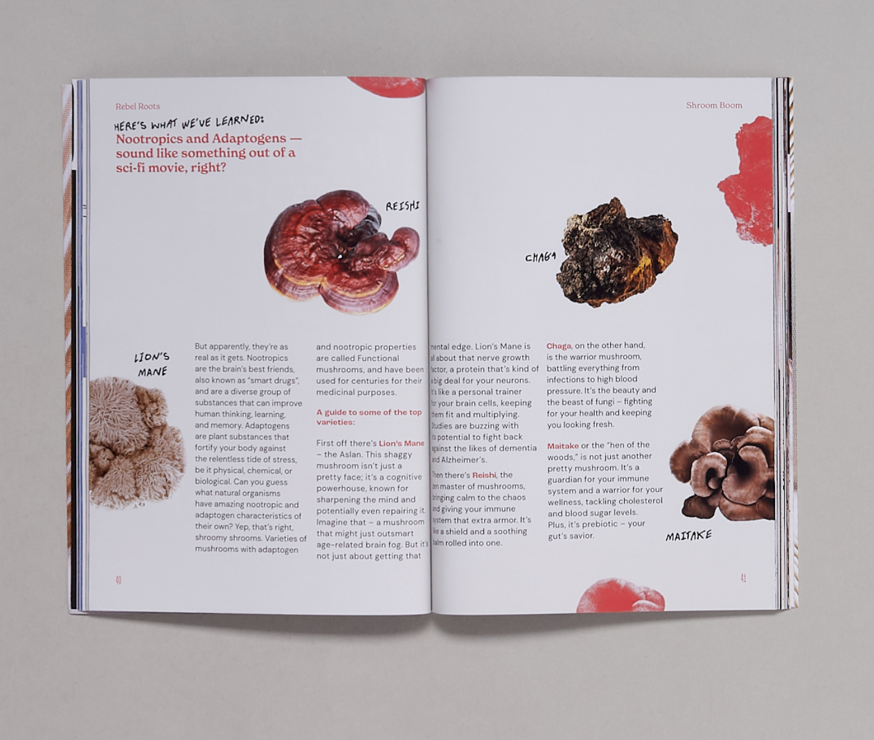 REBEL ROOTS MAGAZINE , Issue 3: The Mushroom