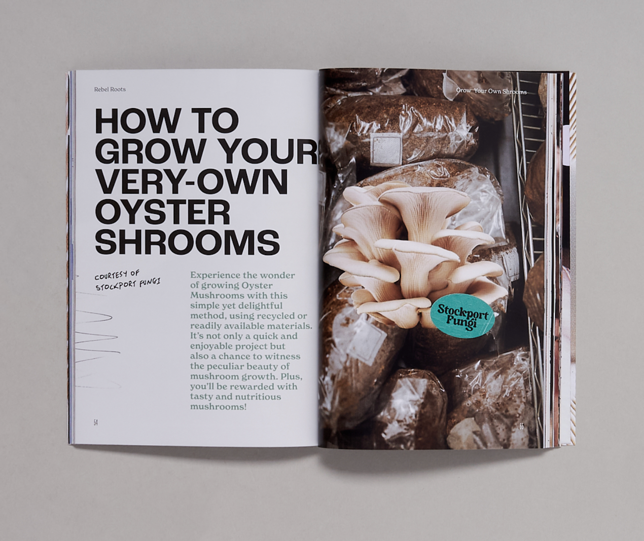 REBEL ROOTS MAGAZINE , Issue 3: The Mushroom