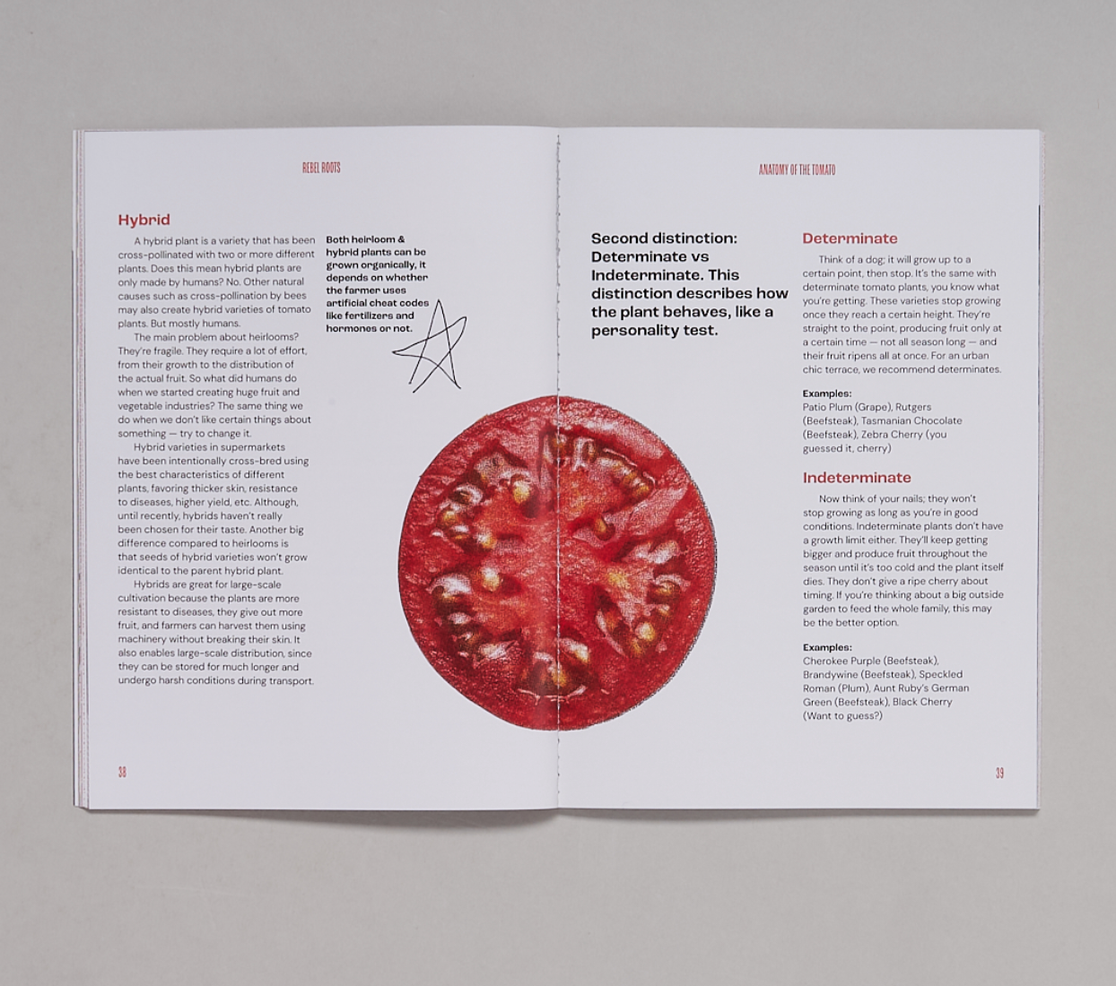 REBEL ROOTS MAGAZINE , Issue 1: The Tomato