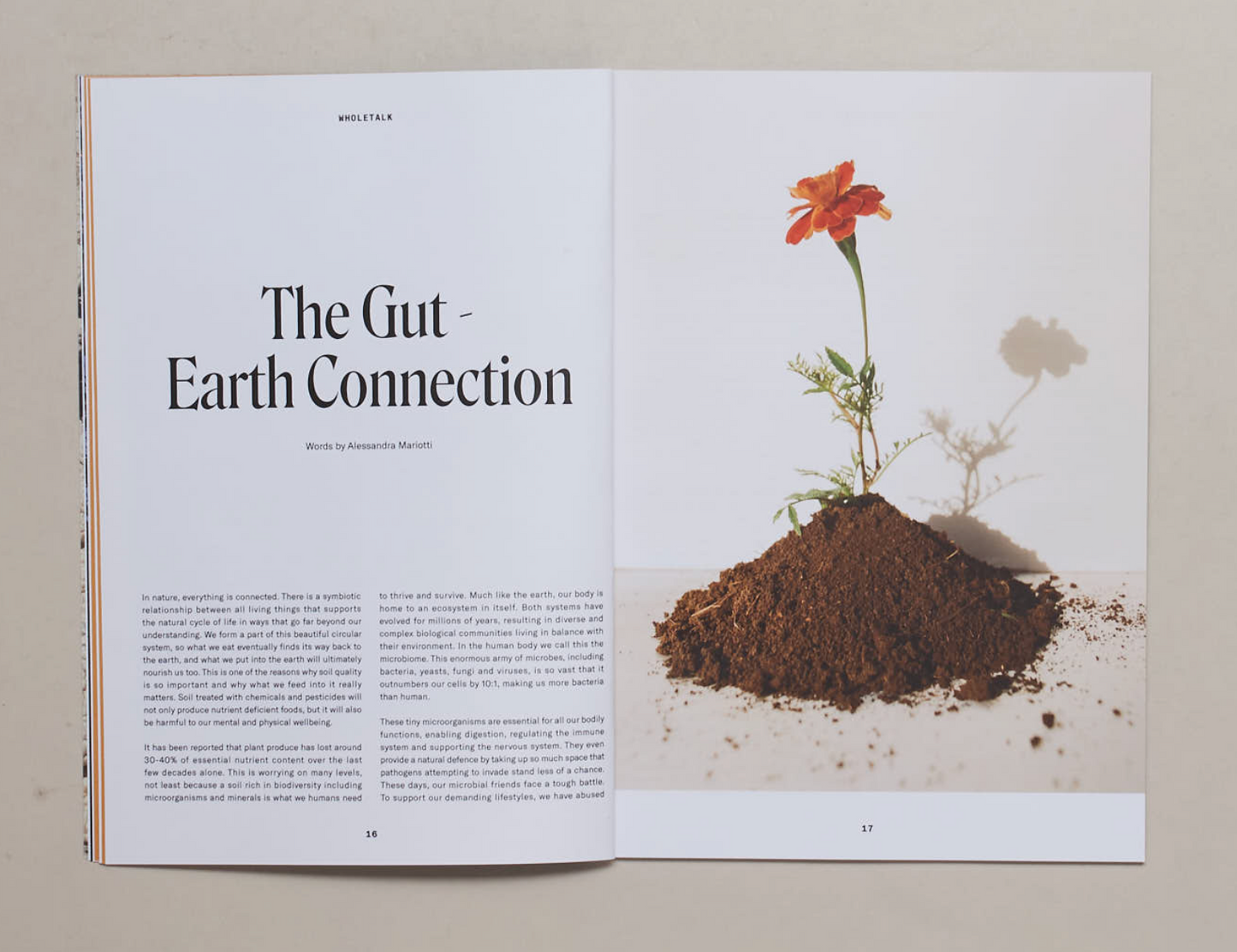 WHOLETALK, No. 4 The Earth Issue
