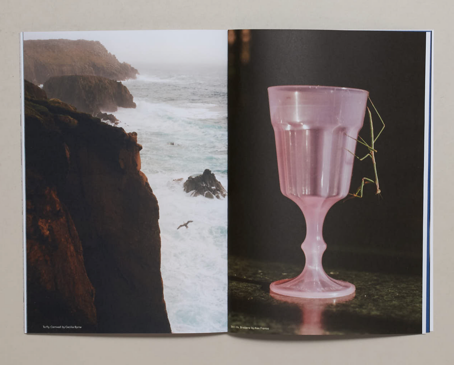 WHOLETALK, No. 4 The Earth Issue