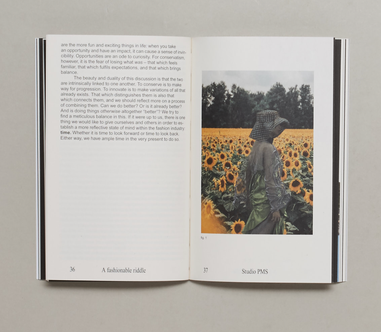 JOANNETTE VAN DER VEER (ED.), Design in Conservative Times