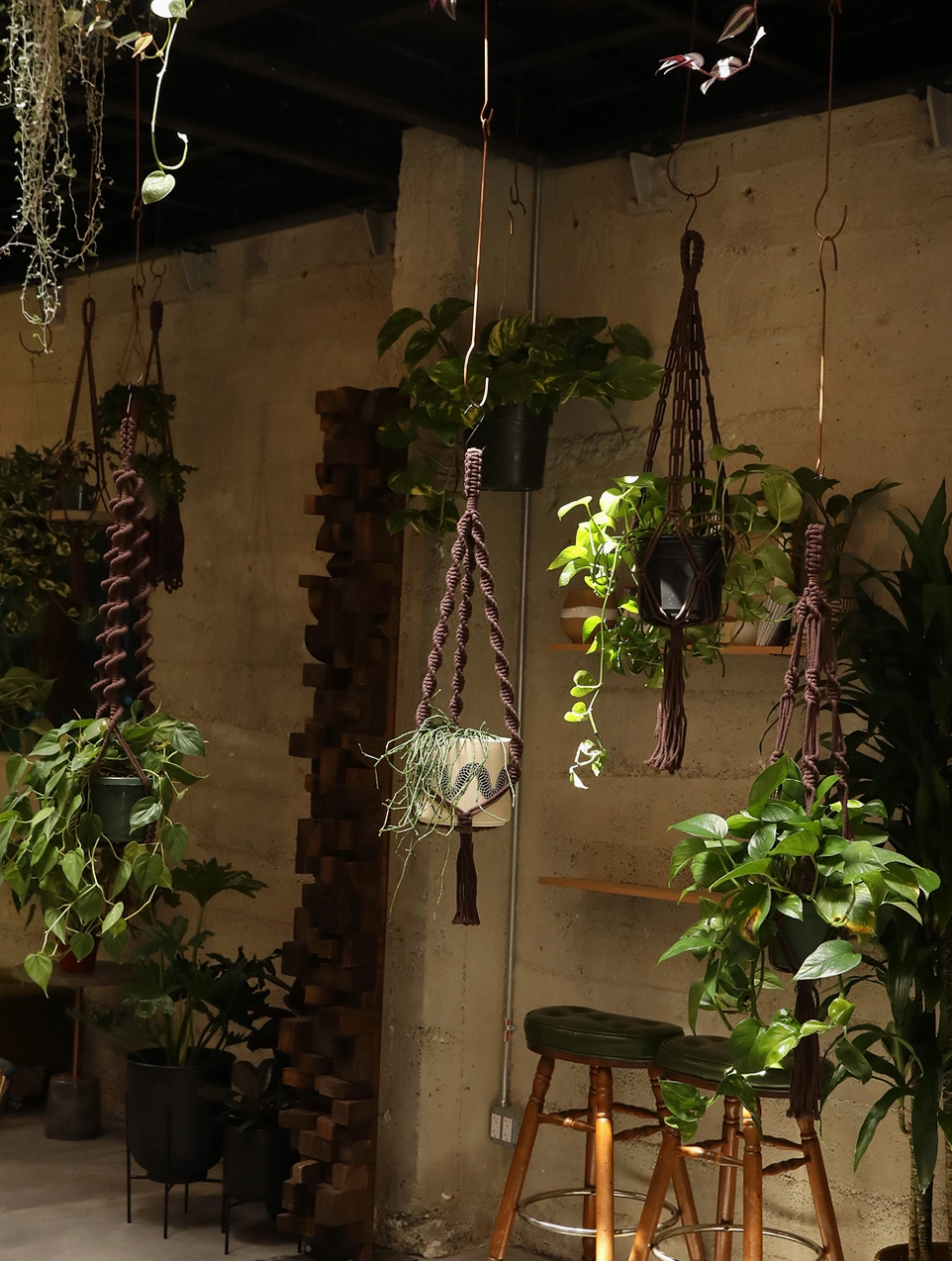 Double Helix Plant Hanger