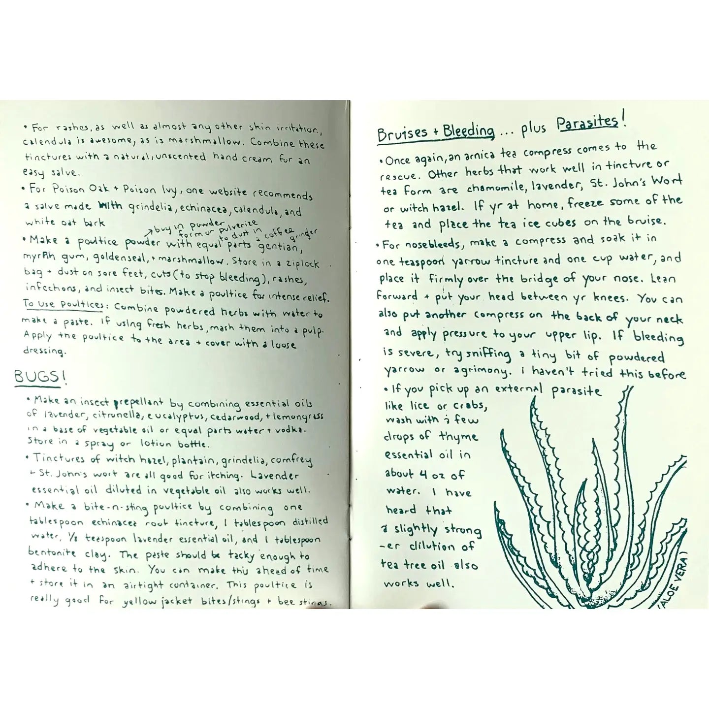 Herbal First Aid: Assembling A Natural First Aid Kit (Zine)