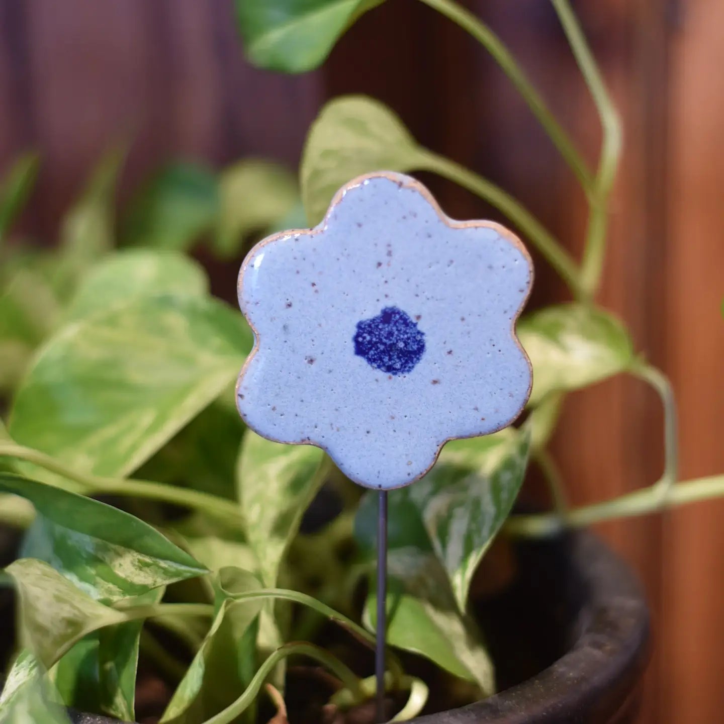 Plant Buddies - Flower