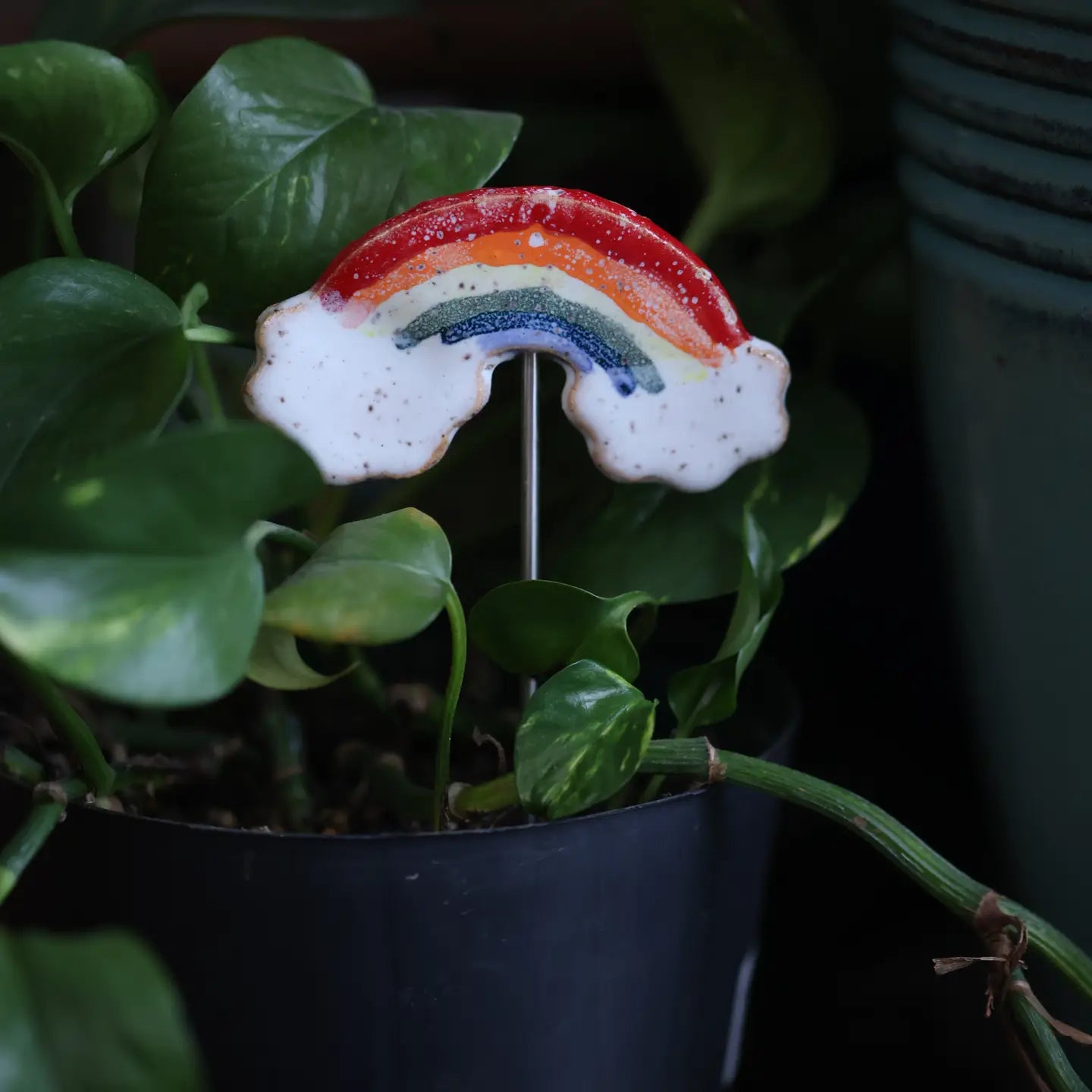 Plant Buddies - Rainbow